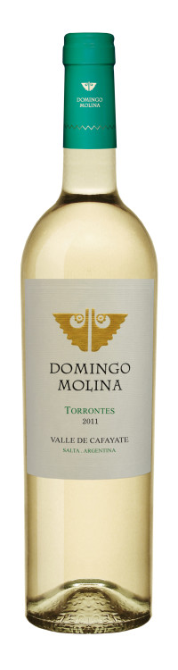 Domingo Molina Torrontes