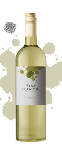 Elsa Bianchi Torrontes