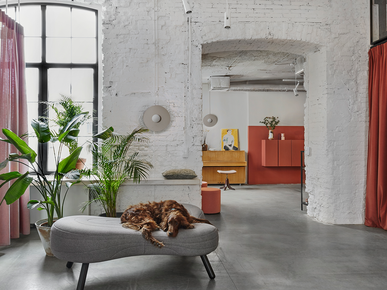 A sleepy dog taking a nap on a bench in a cozy room.