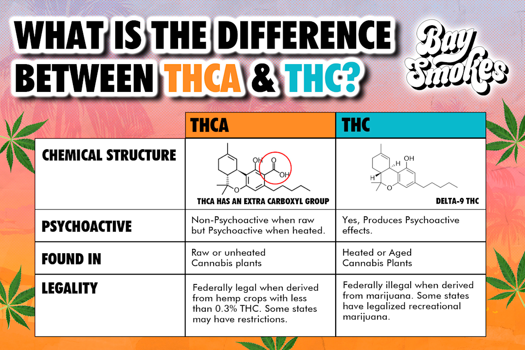 THCA vs THC? What’s The Difference?