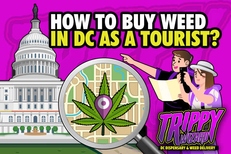 How To Buy Weed In DC As A Tourist