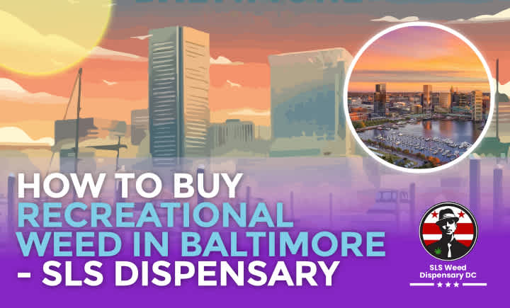 How to Buy Weed In Baltimore - 2024 Guide