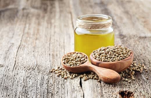 10 Hemp Seed Oil Benefits For Your Health