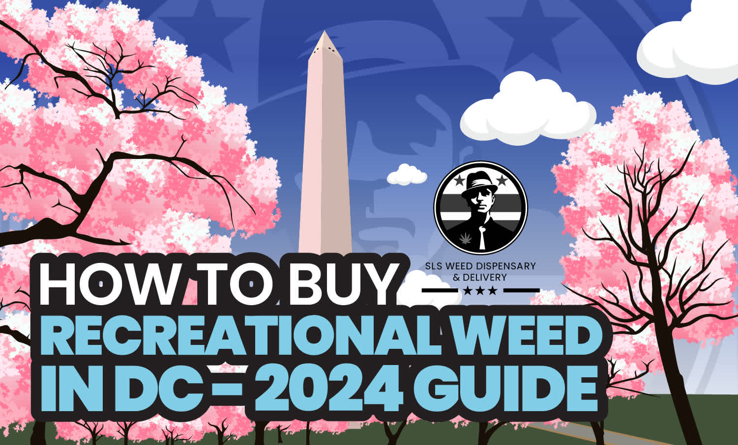 How To Buy Recreational Weed In DC -2024 Guide