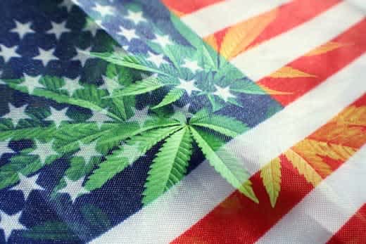 The History Of Cannabis In The US & Beyond