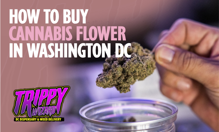 Cannabis Flower | Trippy Wizard Dispensary DC Weed Delivery