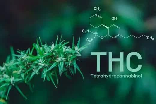 How Much THC Is In Delta 8?