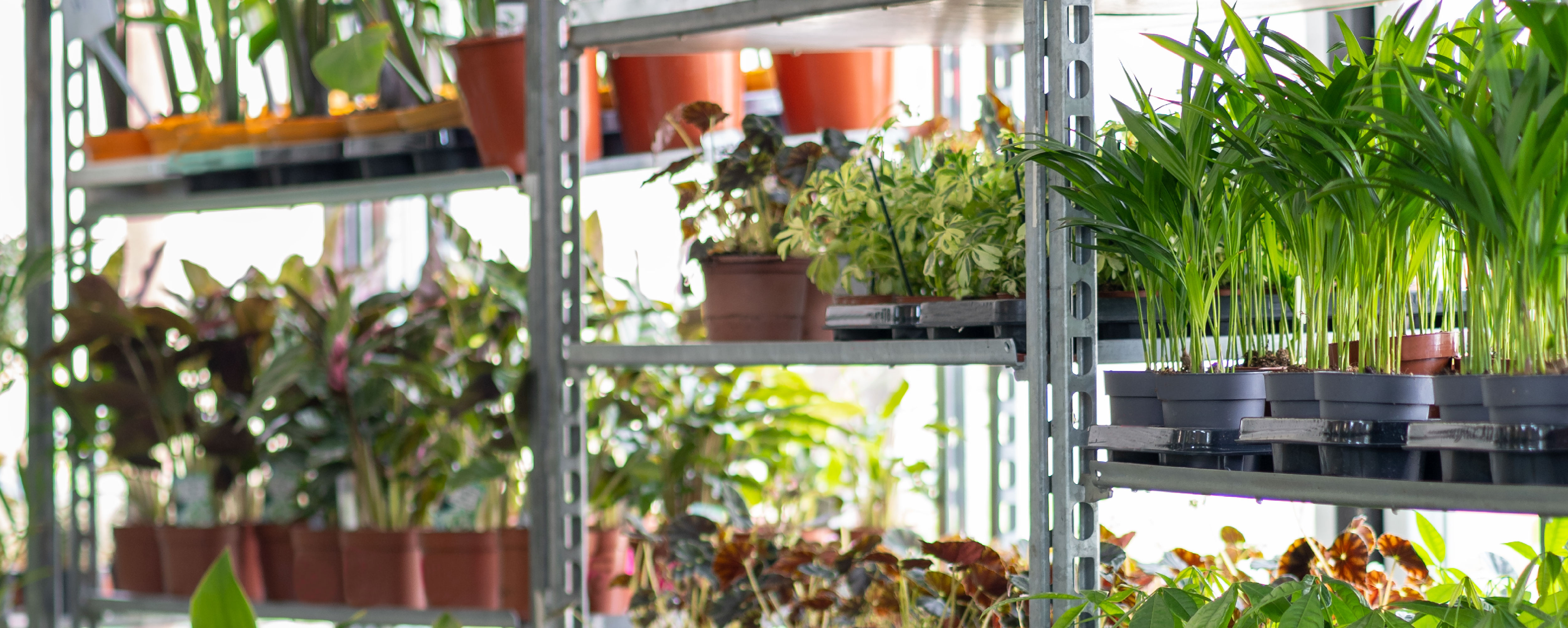 Common self storage prohibited items