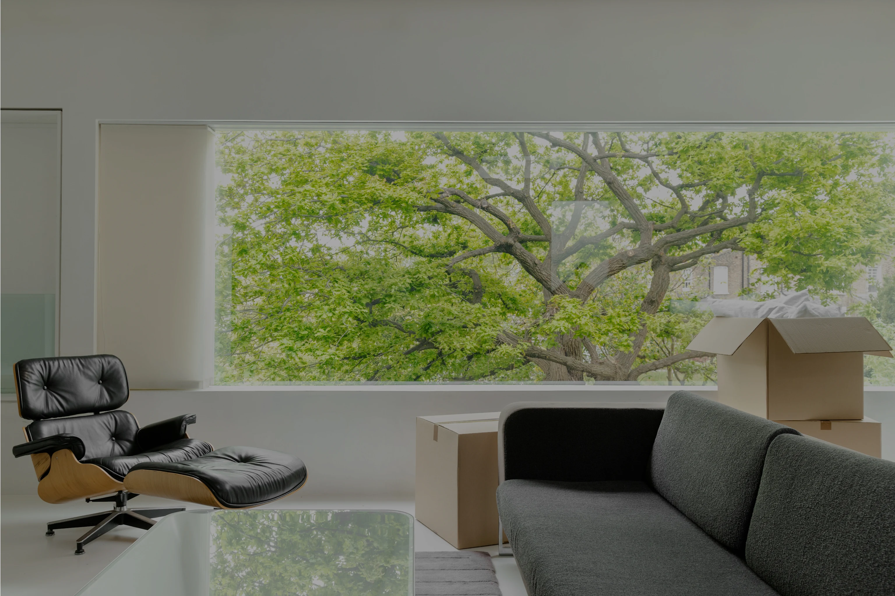 room interior