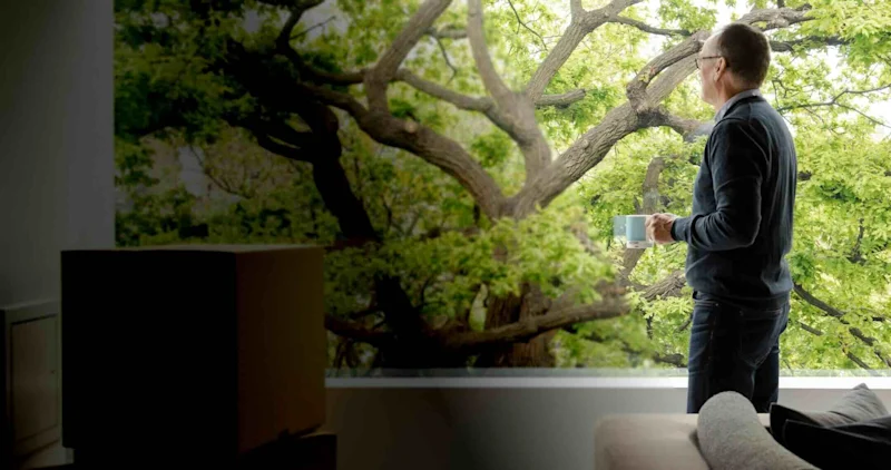 Man looking out of a window overlooking a big tree, with storage boxes and a sofa next to him