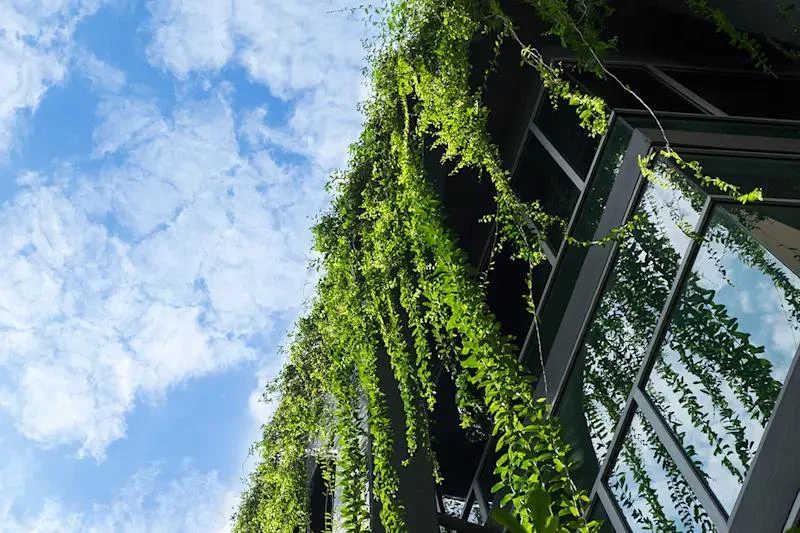 green plants falling from building