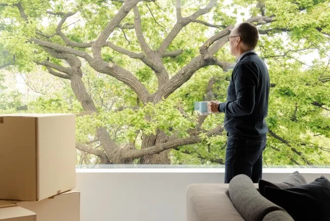 Man looking out of a window overlooking a big tree, with storage boxes and a sofa next to him