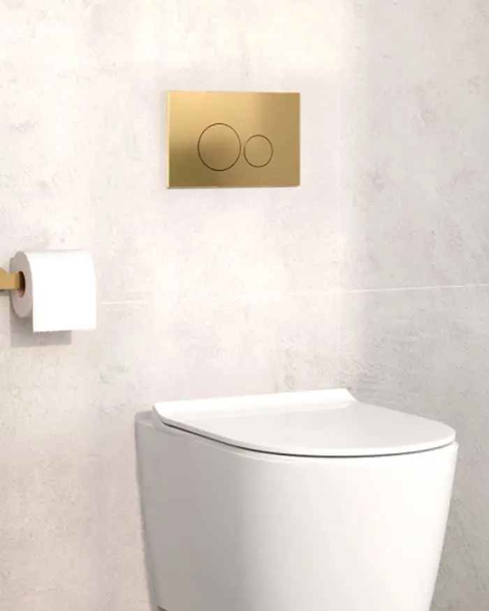 White toilet with gold flush plate on light textured wall, toilet paper holder on left side