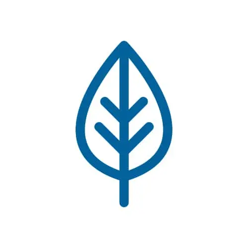 Blue leaf icon with central stem and symmetrical veins on white background