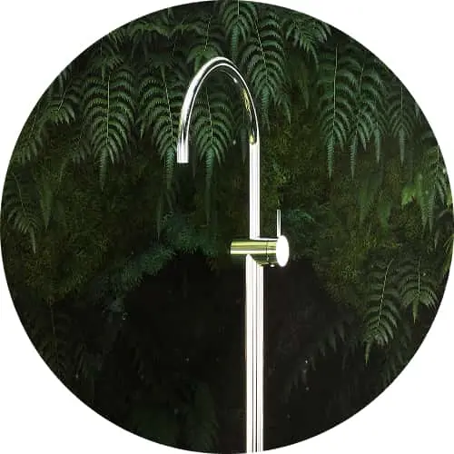 Chrome water faucet with green accent against a background of dark green fern leaves in a circular frame.