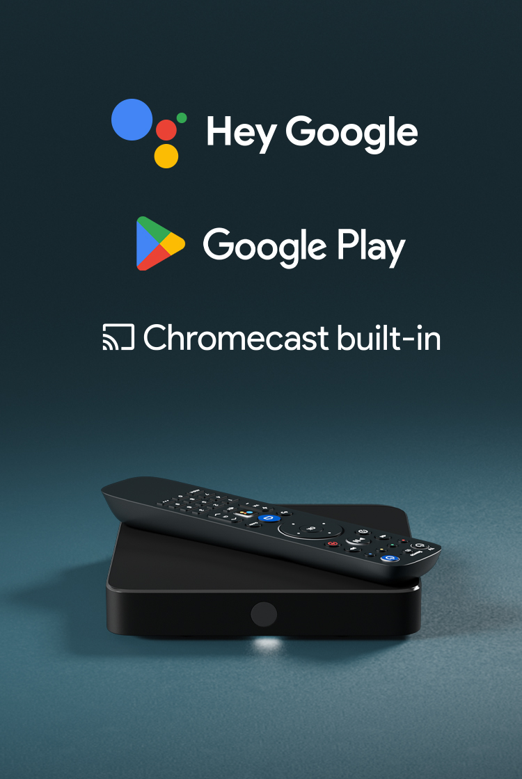 Hey google, google play, chromecast built-in