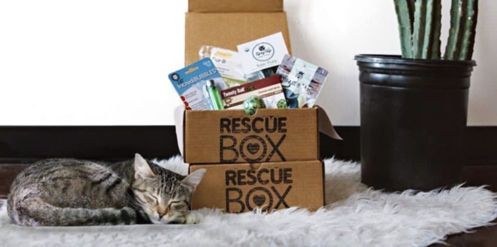 RescueBox-featured-Image-1024x509