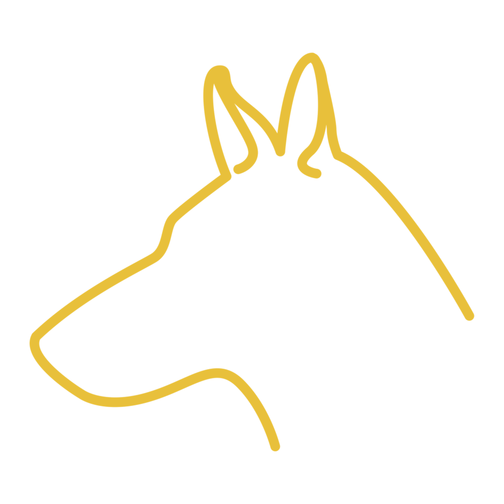 Prick Dog Ears
