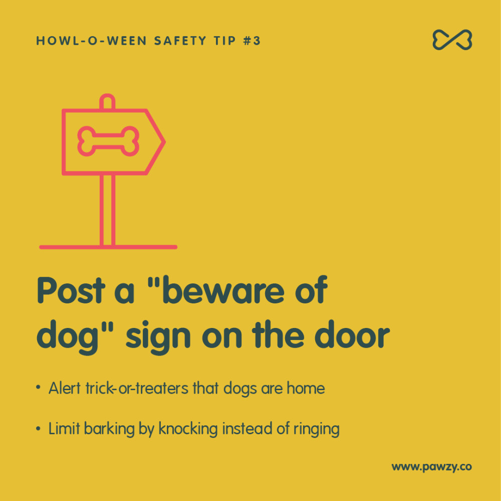 Halloween pet safety tip 3