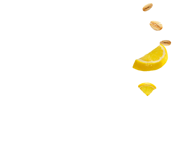 Lemonzest Ingredients Back