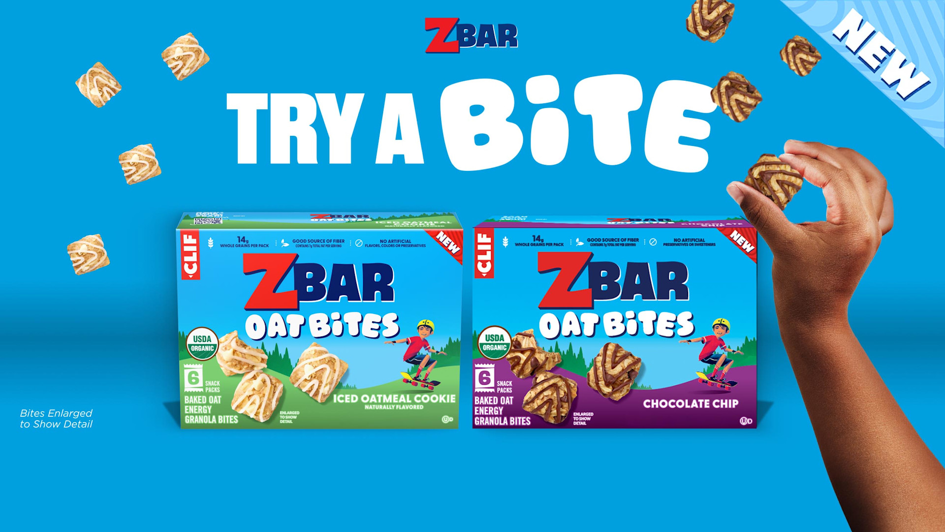 Zbar bites Campaign
