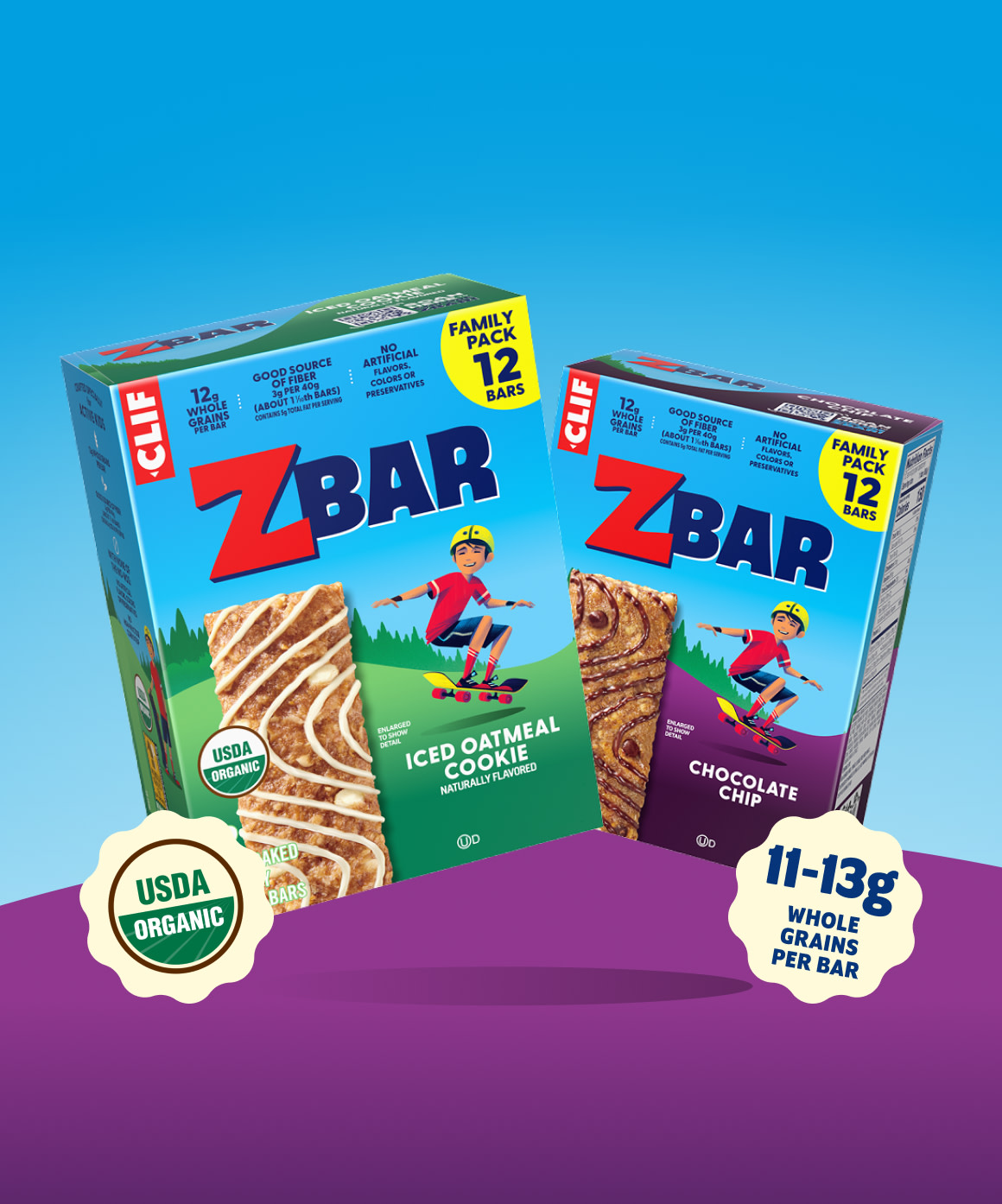 Iced Oatmeal Cookie Box