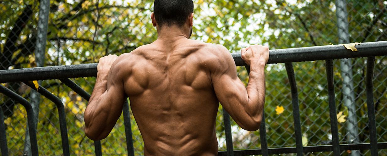 Bodyweight Training Poids de corps Bodyweight poids de corps