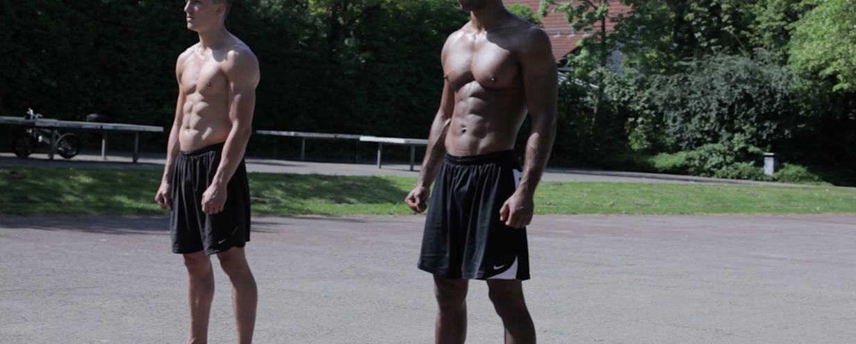our musculature the three
