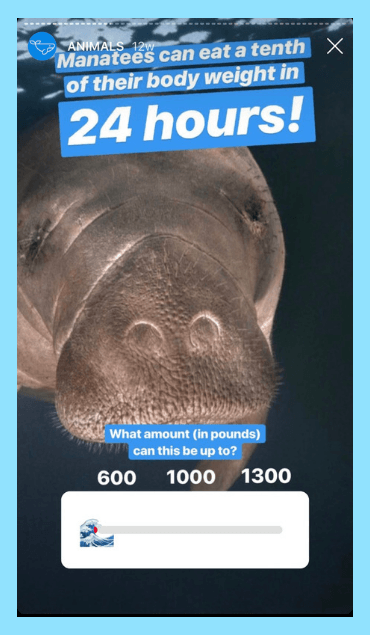 Using the Emoji slider Poll to Give followers more choices.