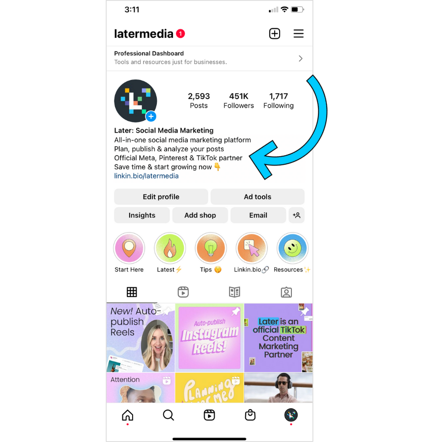 Mobile view of Instagram bio profile: Later