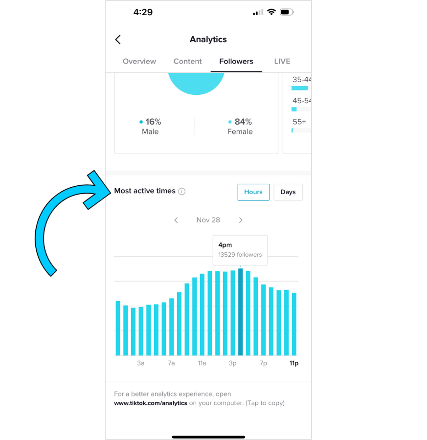 Screenshot of the TikTok Analytics Followers tab and insights