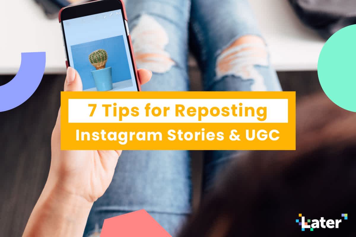  A person holding a phone with an Instagram story of a cactus on the screen with text overlay: '7 Tips for Reposting Instagram Stories & UGC'.