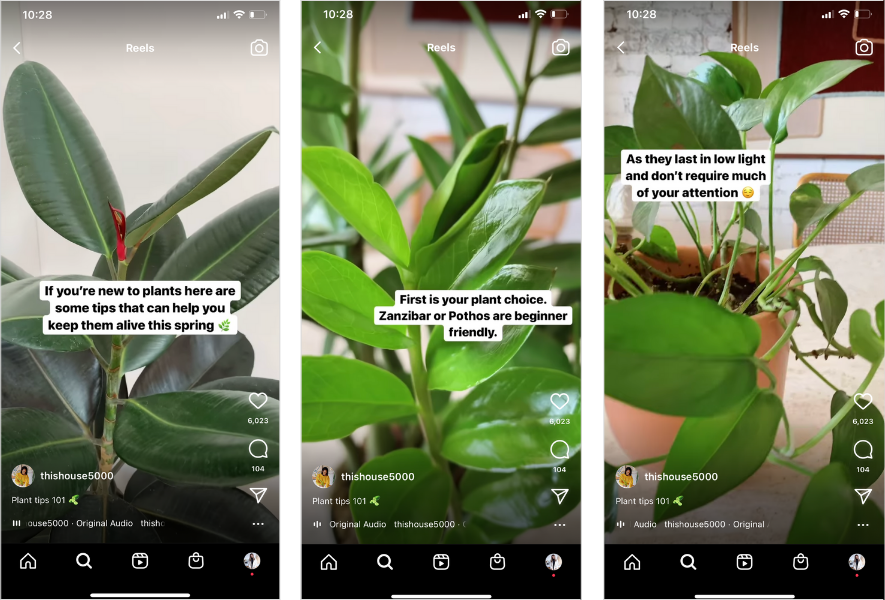 Thishouse5000 uses captions on their Instagram reel about plants