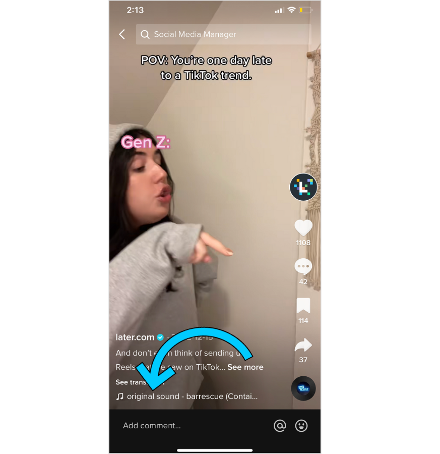 Screenshot of TikTok business account using an original sound. 