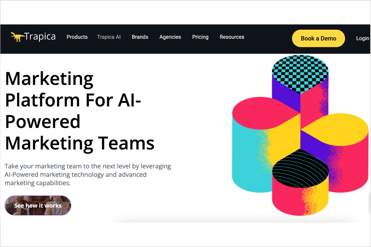 Screenshot from AI platform Trapica homepage