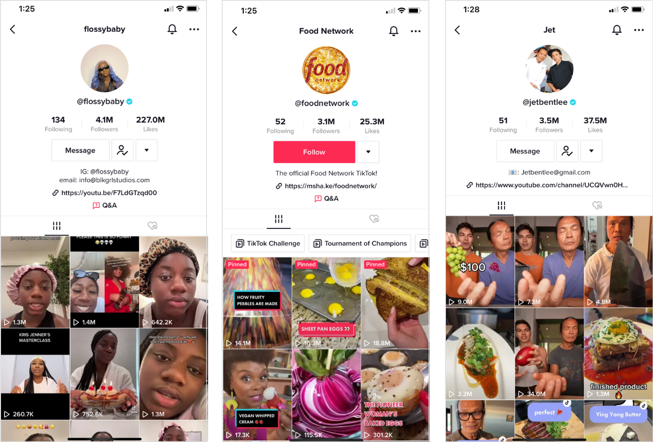 Mobile view of verified TikTok profiles: Flossy Baby, Food Network, Jet Bent-Lee