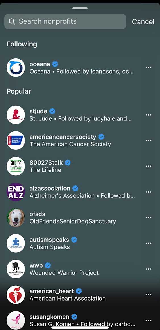 How to Use the Donation Sticker on Instagram Stories