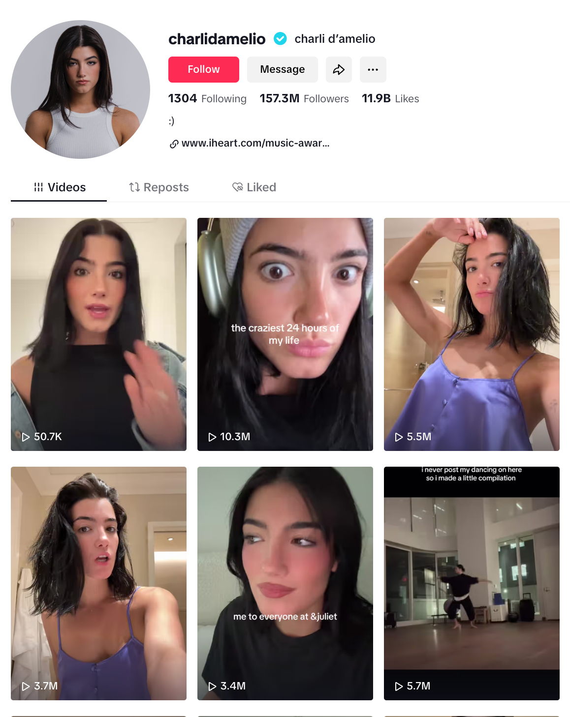 TikTok profile of mega influencer Charli Damelio