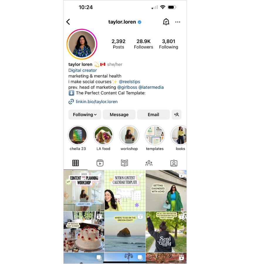 Instagram bio - @taylorloren example
