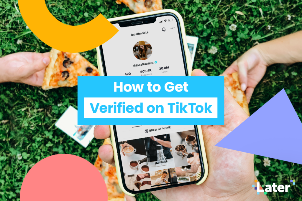 TikTok Verification: How To Get TikTok Verified Badge? - Build My Plays