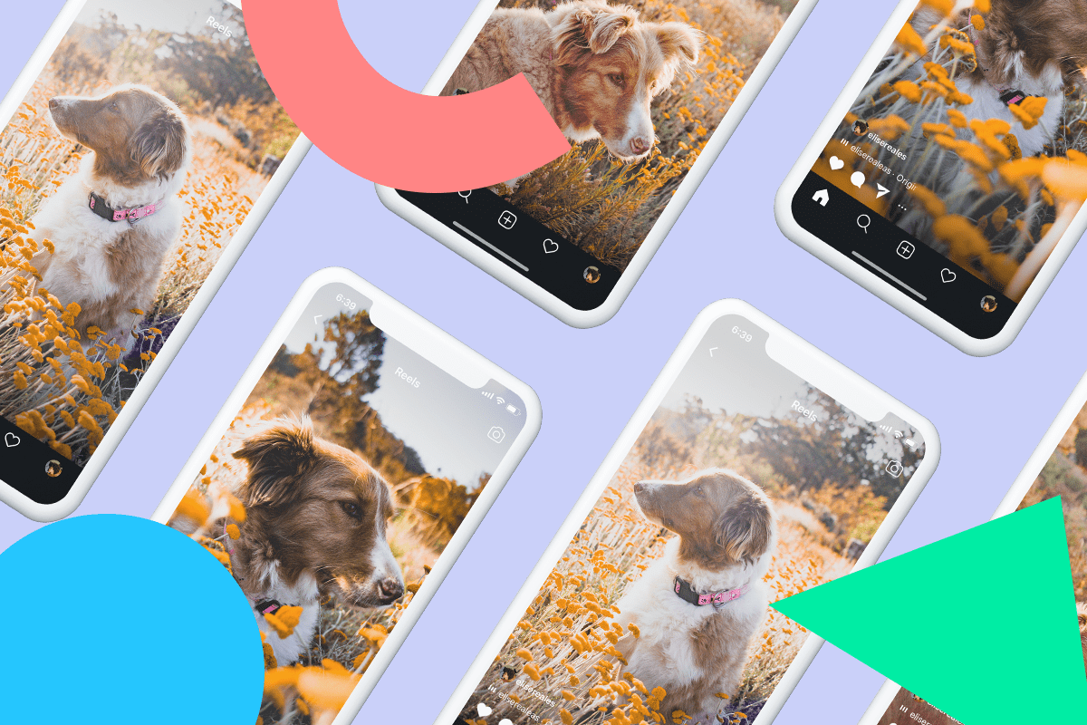 10 Instagram Reels Predictions For 2021 (+ How To Prepare For Them!)