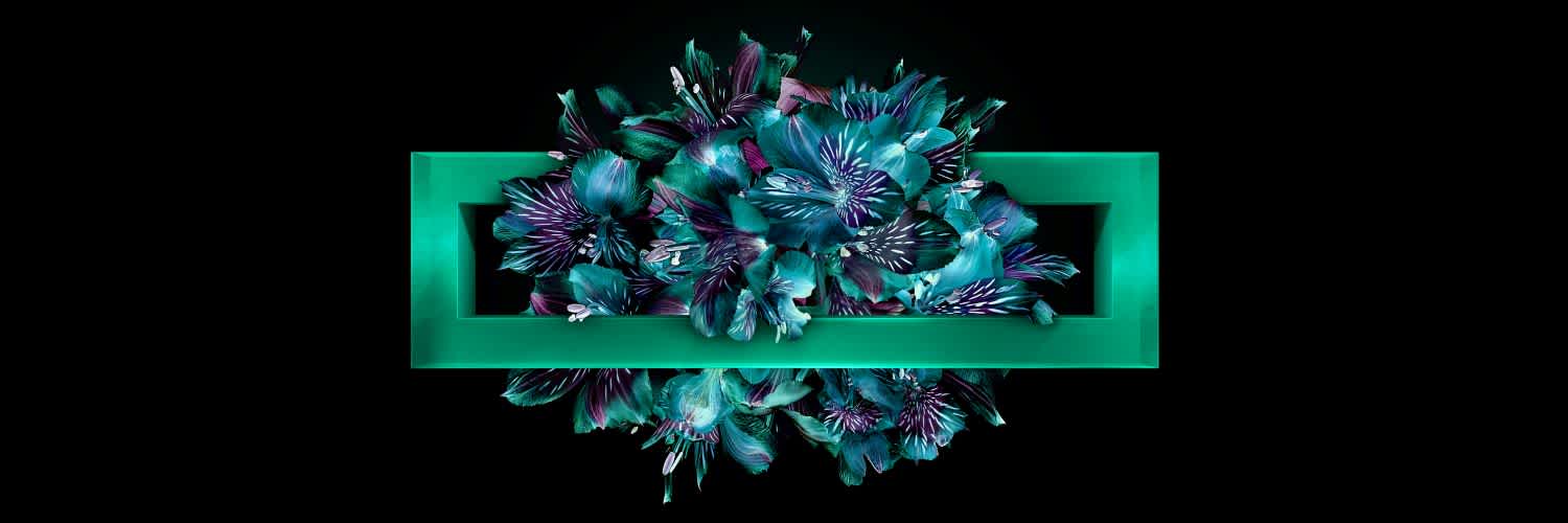 Hewlett Packard Enterprise-lifestyleImage-png