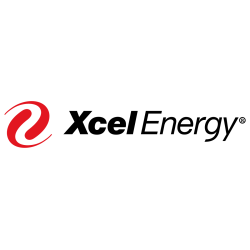 Xcel Icon