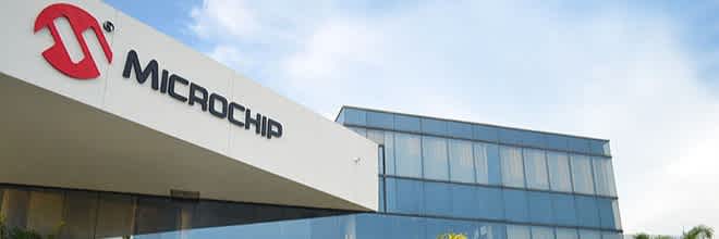 microchip lifestyle