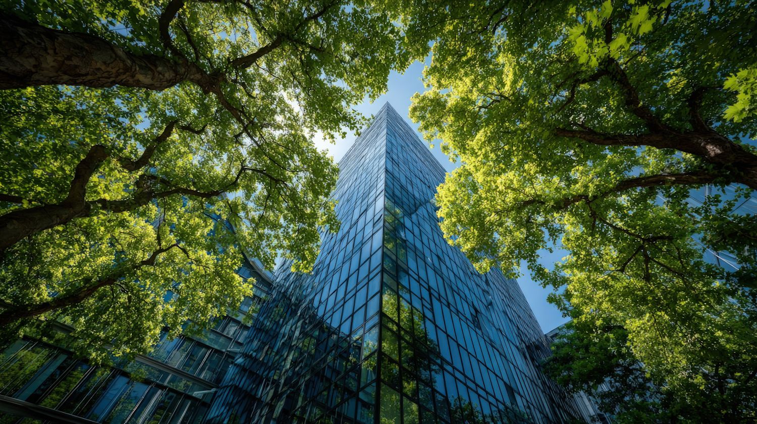 sustainable architecture