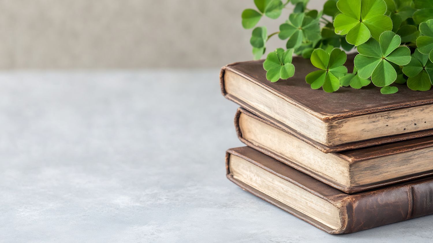 Untitled design (13)