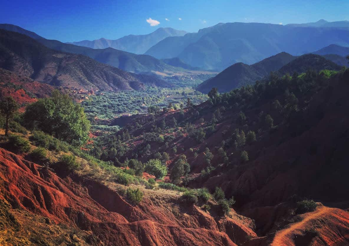 Mountain Range with trees