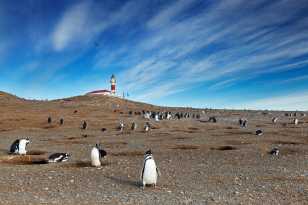 Punta Arenas, Chile