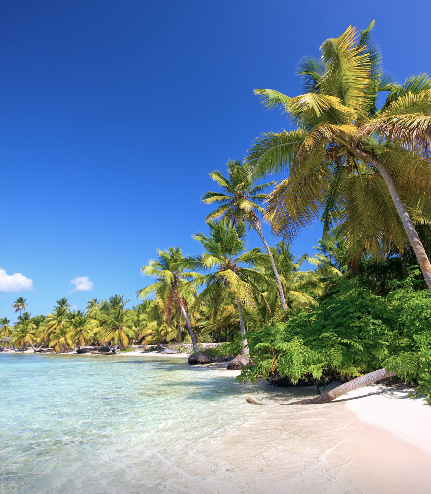 A sunny beach with clear water and blue skies
