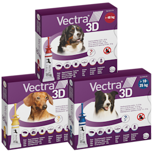 Orange bakgrund med ljusorange krona.